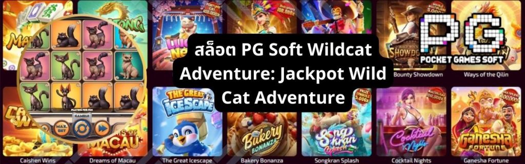 สล็อต PG Soft Wildcat Adventure